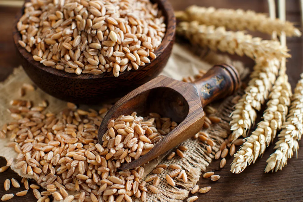 pro_552_Wheat.webp