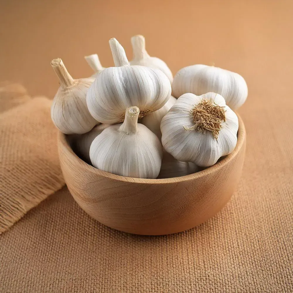 pro_a63_garlic.webp